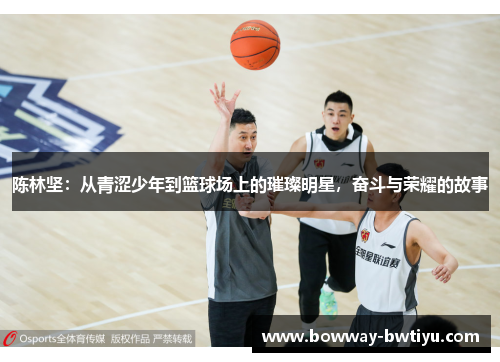 陈林坚：从青涩少年到篮球场上的璀璨明星，奋斗与荣耀的故事